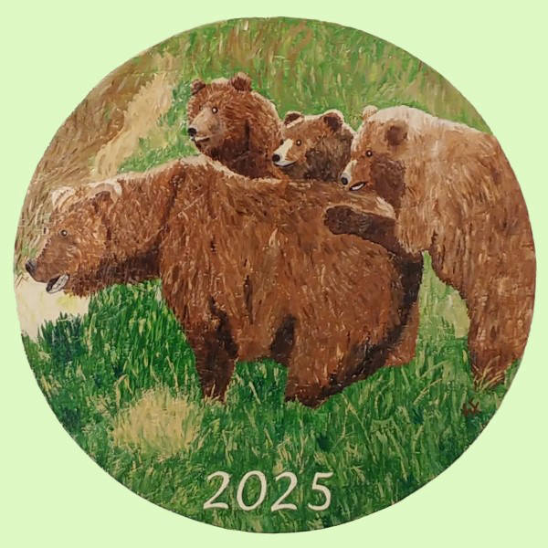 Kinderscheibe 2025